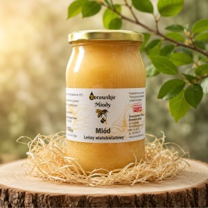 Naturalny miód leśny wielokwiatowy z rodzinnej pasieki Borowskie Miody