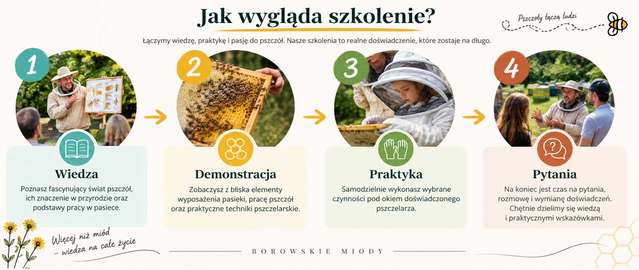 Jak wygląda szkolenie pszczelarskie – wiedza, demonstracja, praktyka i pytania - infografika